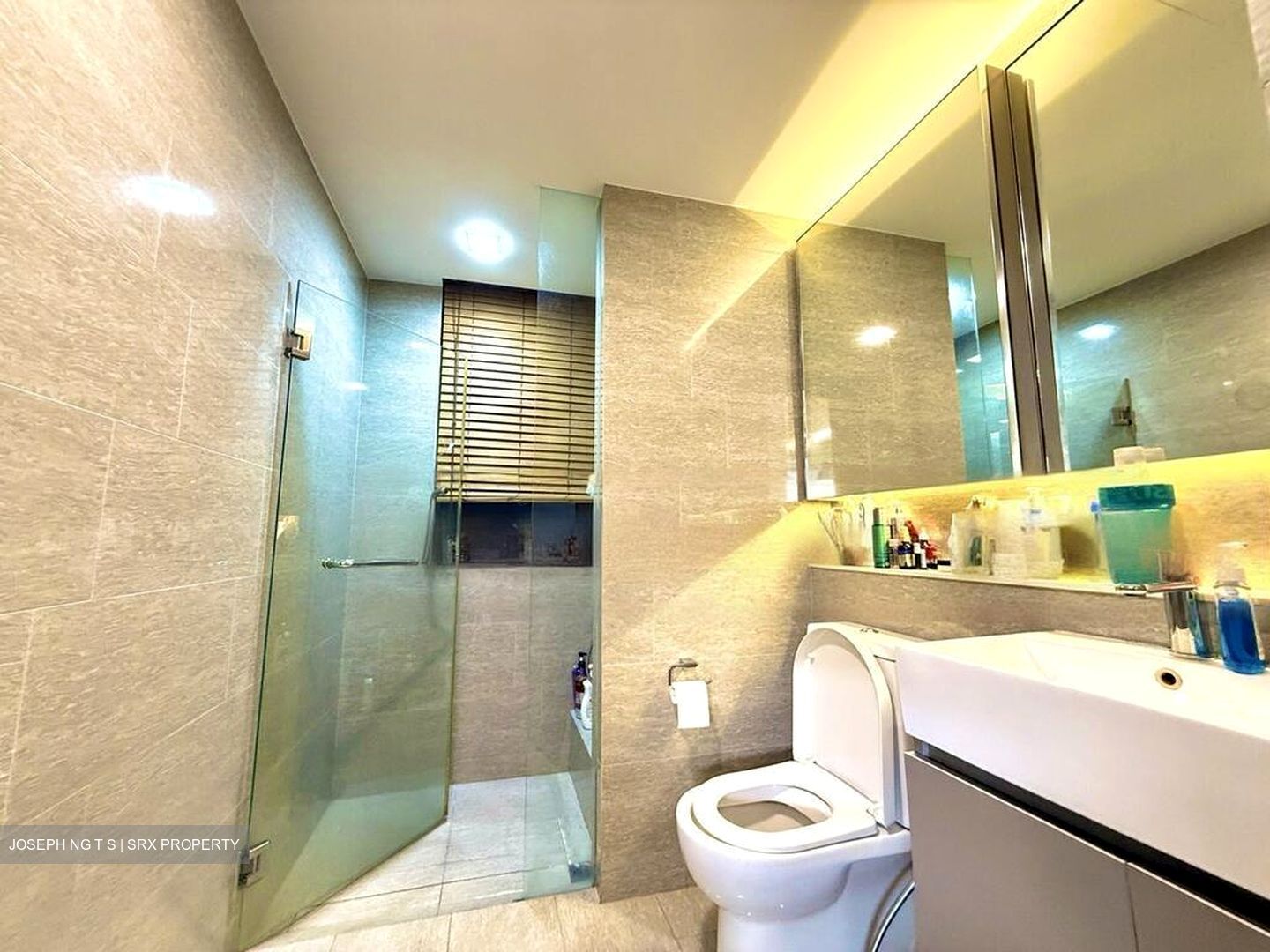 Waterwoods (D19), Condominium #483809471